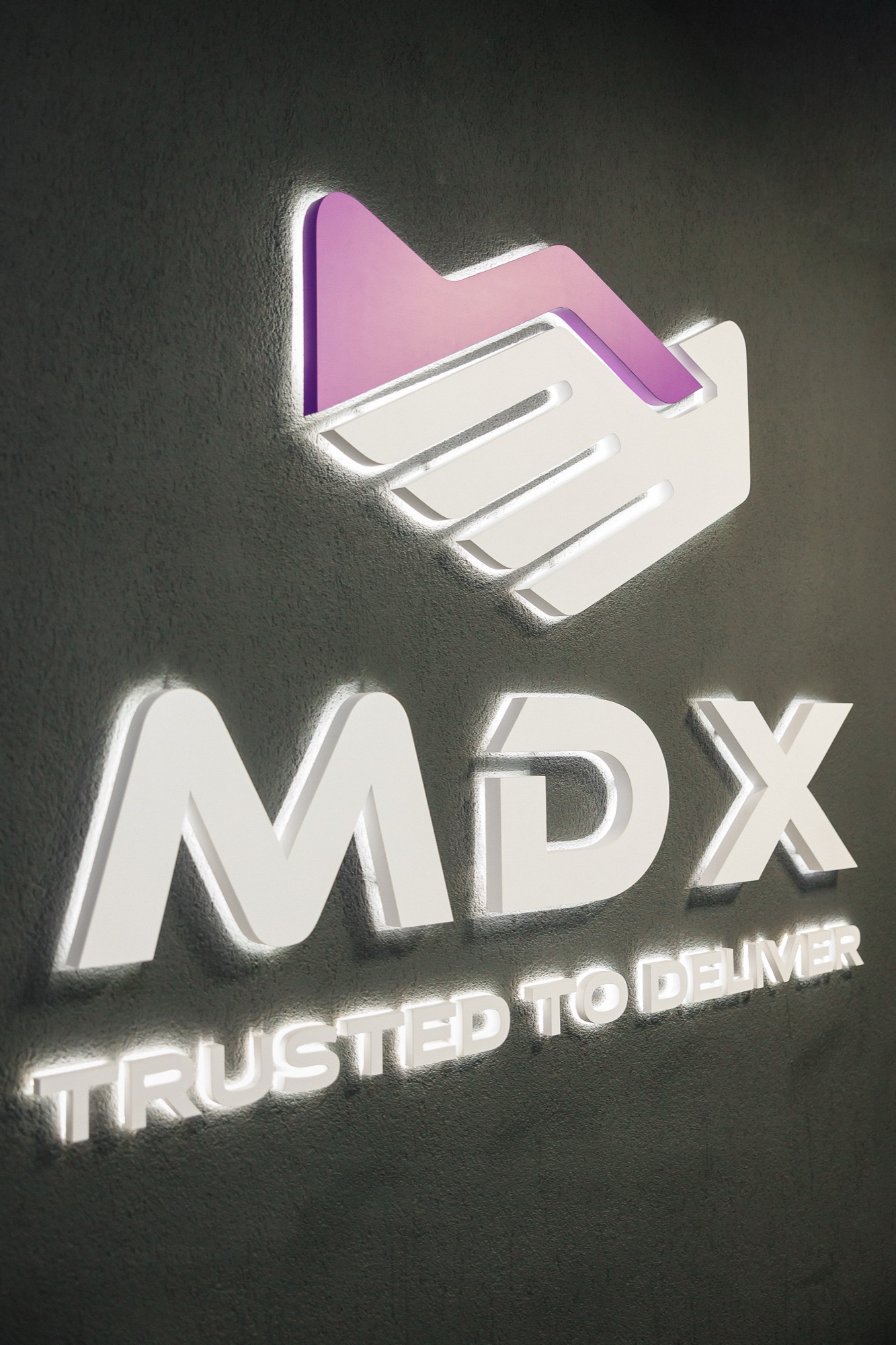 MDX Line Inc 3D logo on office wall